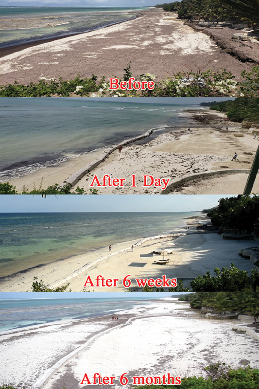 Sandsaver Beach Erosion Solution Before and After Indian Ocean