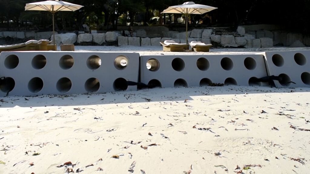 Sandsaver lined up on Beach