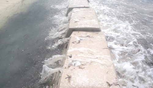 Sandsaver Beach Erosion Barrier Breaking Down Wave Energy